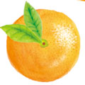 amifaペーパーカップ